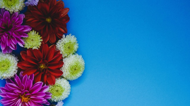 球员的速度 球员的速度